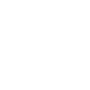 disc-brake